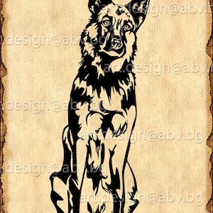 Vector DOG, German Shepherd, AI, png, pdf, eps, svg, dxf, jpg Download, Digital image, graphical, animal, discount coupons