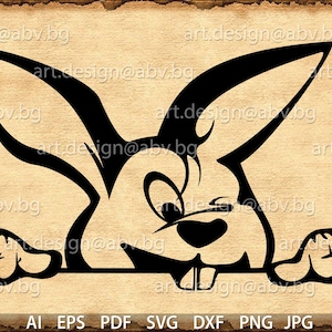 Vector RABBIT, AI, pdf, eps, svg, dxf, png, jpg Download, Digital, graphical, discount coupons