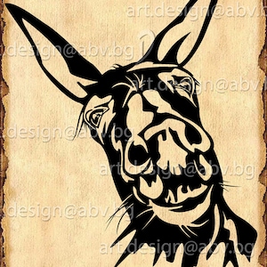 Vector DONKEY, SVG, DXF, ai, eps, pdf, png, jpg Download, graphical, animal, figuration, discount coupons