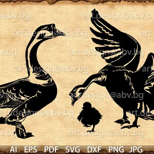 Vector GEESE, AI, eps, pdf, png, svg, dxf, jpg Image Graphic Digital Download Artwork, graphical, discount coupons