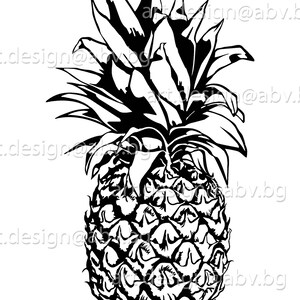 Vector ANANAS, fruit, pineapple, AI, eps, pdf, svg, dxf, png, jpg Download, Digital image, graphical, discount coupons image 2