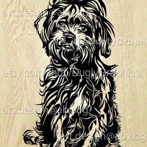 Vector DOG, CANE Shih Tzu, AI, png, pdf, eps, svg, dxf, jpg Download, Digital image, graphical, animal