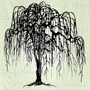 Vector WILLOW Salix babilonica weeping tree AI PNG pdf eps svg dxf jpg black image Download