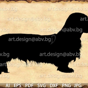 Vector DOG, Long Haired Daschund, AI, PNG, eps, pdf, svg, dxf, jpg Download, Digital image, graphical, dhole, animal, coupons