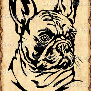 Bulldog francese vettoriale, svg, AI, png, pdf, eps, dxf, jpg Download, Immagine digitale, grafica, animale, cane svg, buoni sconto