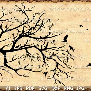 Vettore ALBERO e uccelli, silhouette, AI, PNG, eps, pdf, svg, dxf, jpg Download, Immagine digitale, grafica, /per la stampa/, buoni sconto