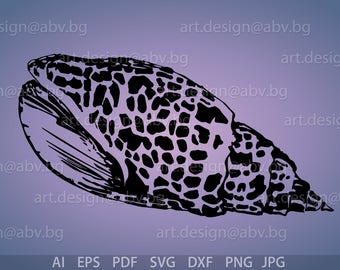 Rapana Shell Vector Image (Digital Download)