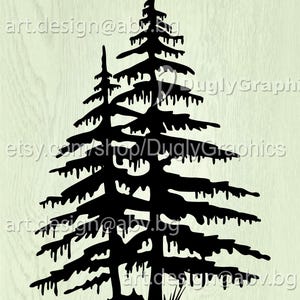 Nadelbaum Vektor: Immergrüner Wald Grafik (Digitaler Download)