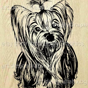 Vector DOG yorkie, SVG AI png pdf eps dxf jpg Download, Digital image, graphical animal