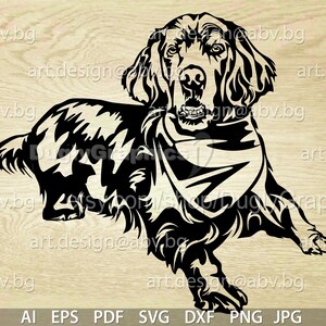 Vector DOG, English Setter, ai, png, pdf, eps, svg, dxf, jpg Download, Digital image, graphical, animal Setting dogges