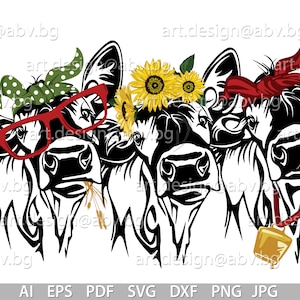 Vector 3 HEIFERS, for PRINTING, calf, head, AI, png, eps, pdf, svg, dxf, jpg Instant Download, svg cow, muzzle, tongue, Digital image