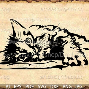 Vector CAT, AI, eps, pdf, svg, dxf, png, jpg Download files, Digital, graphical, discount coupons