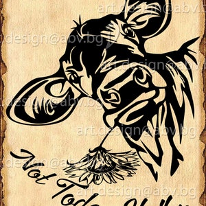 Vector HEIFER not today, calf, head, AI, PNG, eps, pdf, svg, dxf, jpg Instant Download, svg cow, tongue, Digital image