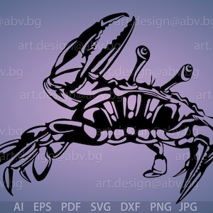 Vector CRAB, AI, eps, pdf, png, svg, dxf, jpg  Image Graphic Digital Download Artwork, discount coupons