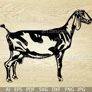 Vector NUBIAN GOAT, AI, png, eps, pdf, svg, dxf, jpg Instant Download, graphical image Art Print, animal