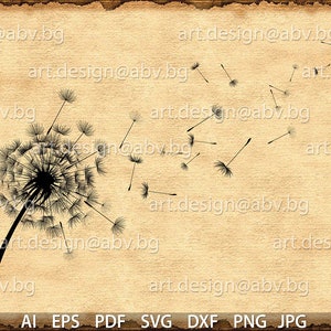 Vector Flower /Taraxacum/, dandelion, AI, PNG, pdf, eps, svg, dxf, jpg Download, Digital image, graphical, discount coupons