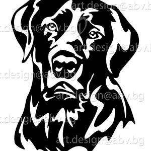 Vector DOG, Labrador Retriever, AI, eps, pdf, svg, dxf, png, jpg Download, Digital image, graphical, animal head, discount coupons image 2