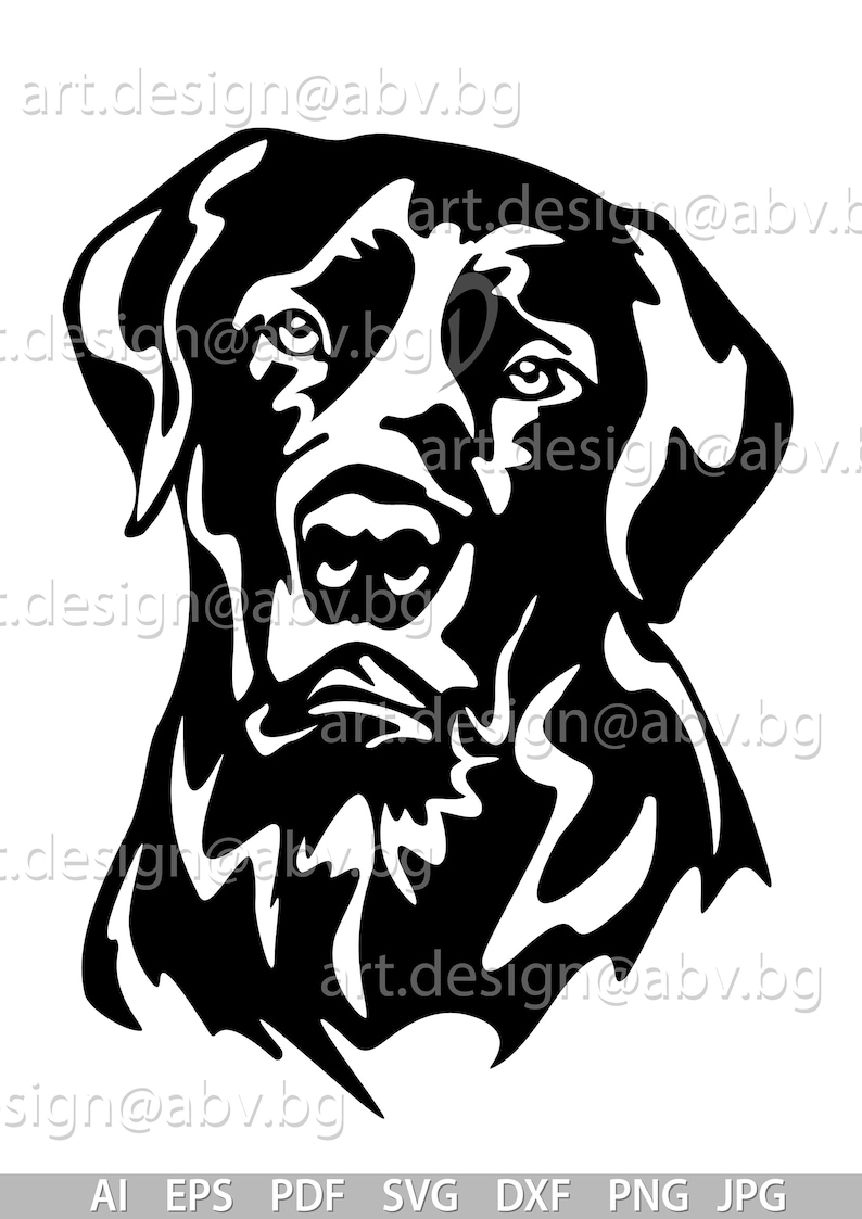 Vector DOG, Labrador Retriever, AI, eps, pdf, svg, dxf, png, jpg Download, Digital image, graphical, animal head, discount coupons image 2