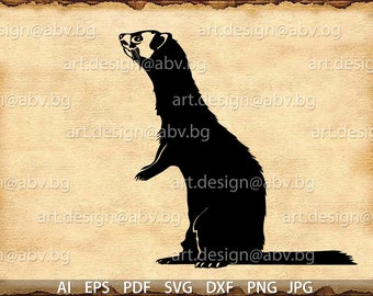 Vector FERRET, AI, eps, PNG, pdf, svg, dxf, jpg Descargar, Imagen digital, imagen gráfica, cupones de descuento