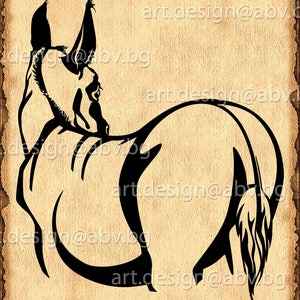 Vector DONKEY, Download, Digital image, graphical, AI, PNG, eps, pdf, svg, dxf, jpg, dhole, animal, discount coupons