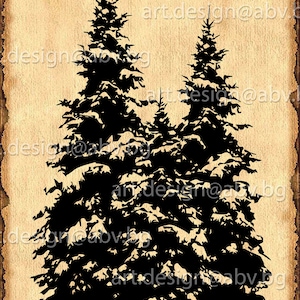 Evergreen Conifer Forest Vector Graphics (Digital Download)
