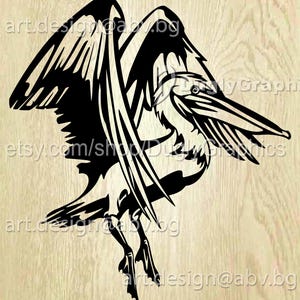 Vector PELICAN, AI, PNG, pdf, eps, svg, dxf, jpg Download, Digital image, graphical, bird, discount coupons