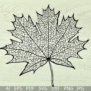 Vector LEAF veins, AI, eps, pdf, SVG, dxf, png, jpg Download, Digital image, graphical, positive and negative