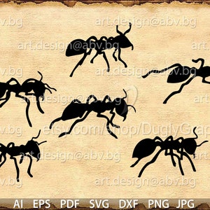 Vector ANTS, Ai, svg, eps, pdf, DXF, png, jpg Download, Digital image, graphical, discount coupons