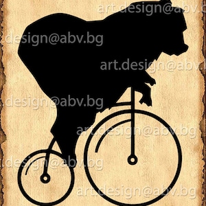 Vector OSO en bicicleta, AI, eps, SVG, dxf, png, pdf, jpg Descargar, Imagen digital, imagen gráfica, cupones de descuento