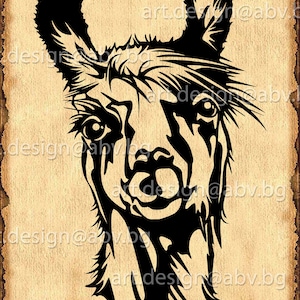 Vector ALPACA, lama, AI, eps, PNG, pdf, svg, dxf, jpg Download files, Digital, graphical, llama, discount coupons