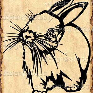 Vector RABBIT, AI, eps, PNG, pdf, svg, dxf, jpg Download, Digital image, graphical image, Easter, Blanc de Hotot rabbit, discount coupons