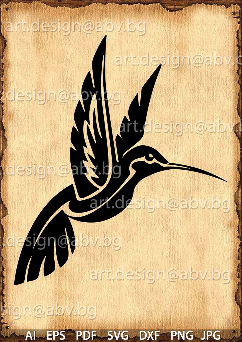 Vector COLIBRI hummingbird AI PNG eps pdf svg dxf jpg | Etsy