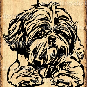 Vector POODLE, dog, SVG, AI, png, pdf, eps, dxf, jpg Download, Digital image, graphical, animal, discount coupons
