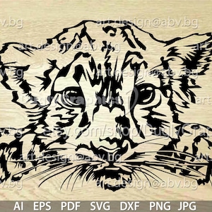 Baby Tiger Vector Art: Printable Graphic Image (Digital Download)