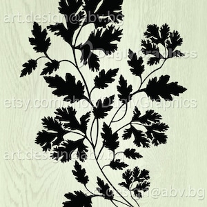 Vector PARSLEY, flora, AI, eps, PNG, pdf, svg, dxf, jpg Download, Digital image, graphical, discount coupons