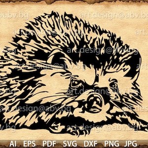 Vector HEDGEHOG, AI, eps, pdf, SVG, dxf, png, jpg Download, Digital image, graphical, discount coupons