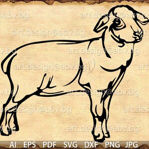 Vector SHEEP, AI, PNG, eps, pdf, svg, dxf, jpg Instant Download, graphical image Art Print, animal, Digital image, lamb