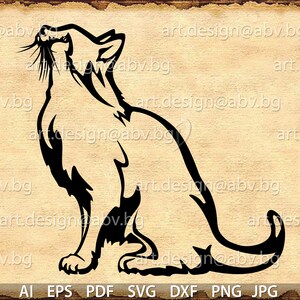 Vector CAT, AI, eps, pdf, SVG, dxf, png, jpg downloadbestanden, digitaal, grafisch, huisdier, kortingsbonnen