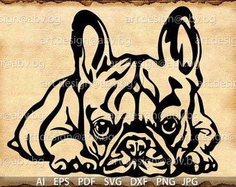 Vector FRANSE BULLDOG svg AI png pdf eps dxf jpg Download digitale afbeelding grafische dierlijke hond
