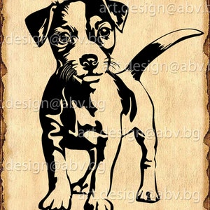 Vector JACK RUSSELL Terrier, dog, SVG, ai, png, pdf, eps, dxf, jpg Download, Digital image, graphical, animal, discount coupons