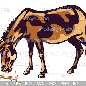 Vector DONKEY eats straw colored ai png eps pdf svg dxf jpg Download, Digital image, graphical, farm animal
