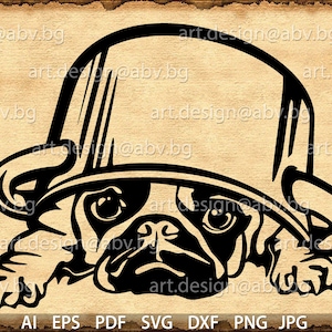 May include: A black and white illustration of a pug wearing a bucket hat. The pug is looking at the camera with a serious expression.