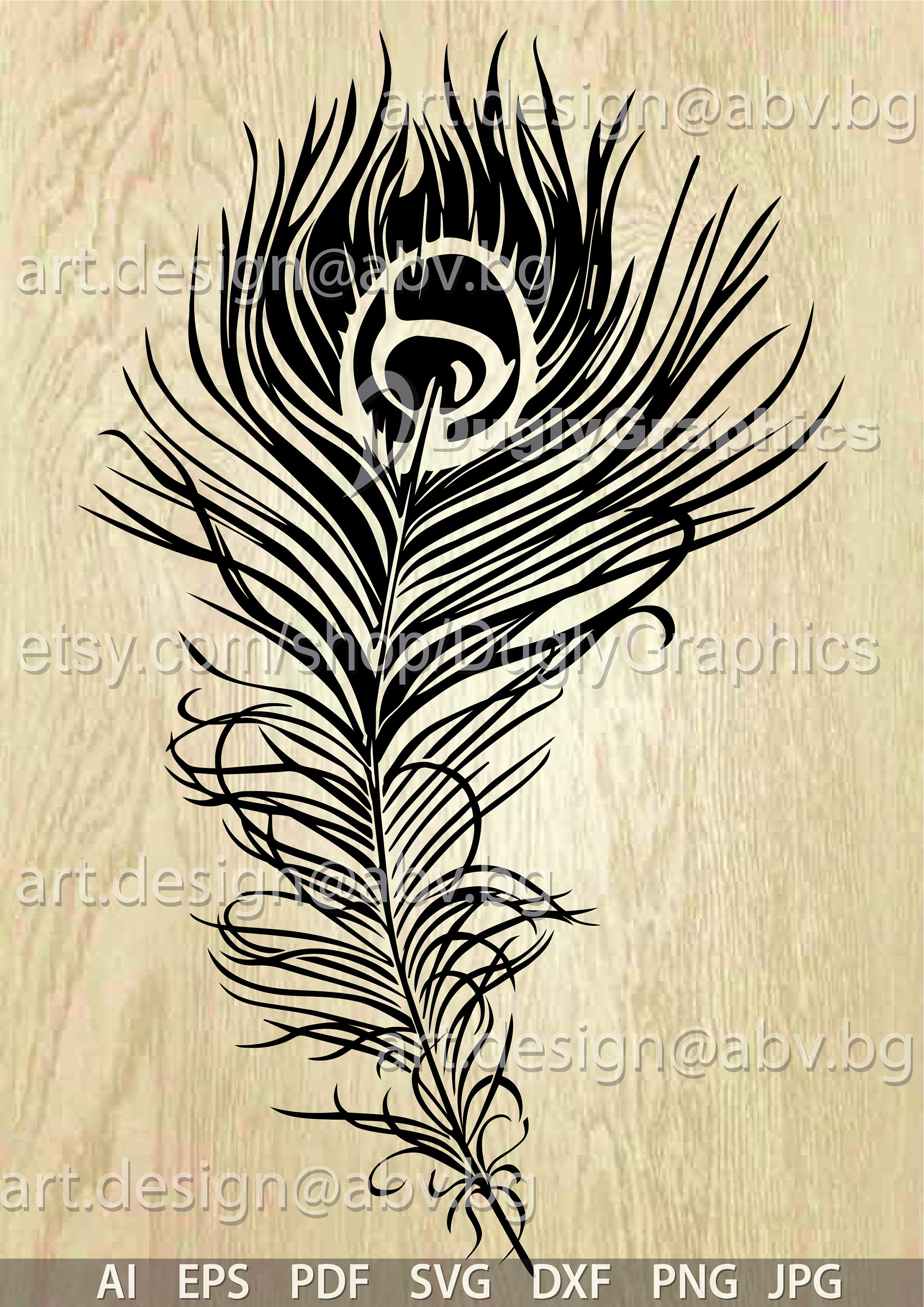 Peacock Feather Vector Graphic (Digital Download), image size:2121x3000