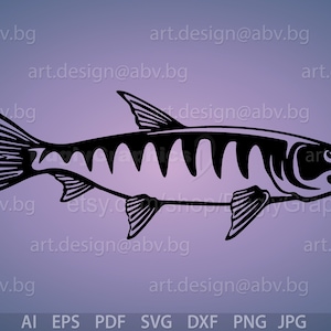 Vector BONEFISH, ai, eps, pdf, png, svg, dxf, jpg Graphic Digital Download Artwork graphical image