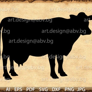 Vector COW, ai, eps,pdf, png, dxf, svg, jpg Image Graphic Digital Download Artwork, graphical, discount coupons
