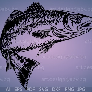 Vector RED FISH, AI, eps, pdf, png, svg, dxf, jpg Image Graphic Digital Download Artwork, graphical, discount coupons