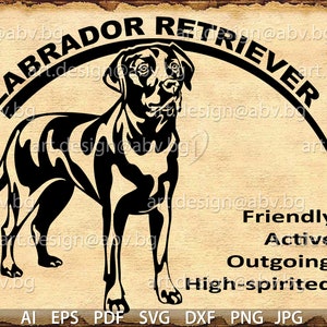 Vector DOG, Labrador Retriever, AI, eps, pdf, svg, dxf, png, jpg Download, Digital image, graphical, animal body, discount coupons