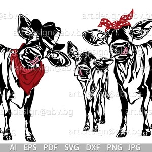 Vector COW FAMILY, calf, head, ai, png, eps, pdf, svg, dxf, jpg, svg cow, graphical image Art, heifer, muzzle, funny