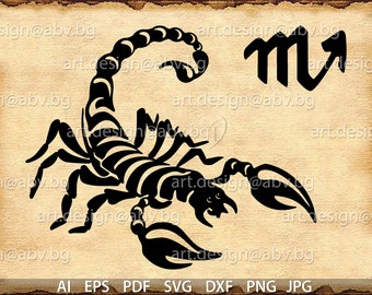 蠍座の星座ベクターグラフィック（AI、EPS、PNG、SVG、デジタルダウンロード）