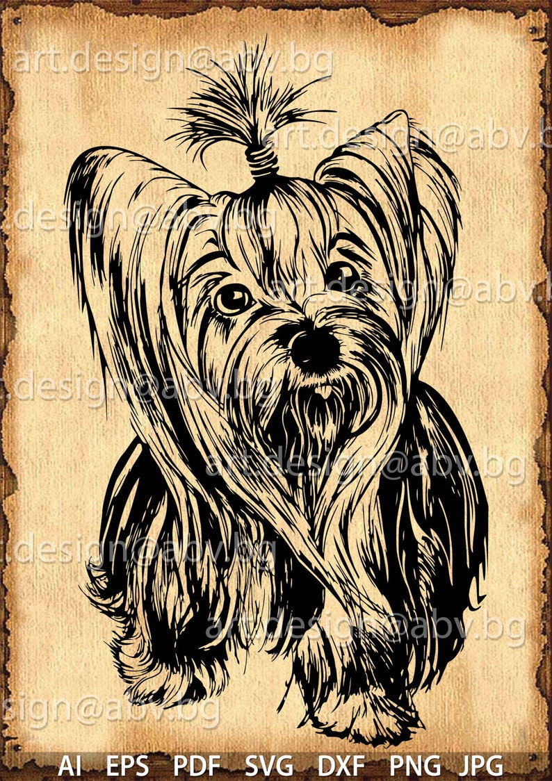 Download Vector DOG yorkie SVG AI png pdf eps dxf jpg Download | Etsy